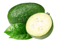 Feijoa nutrition facts calorie content storage and freshness fruit list fruits starting with f