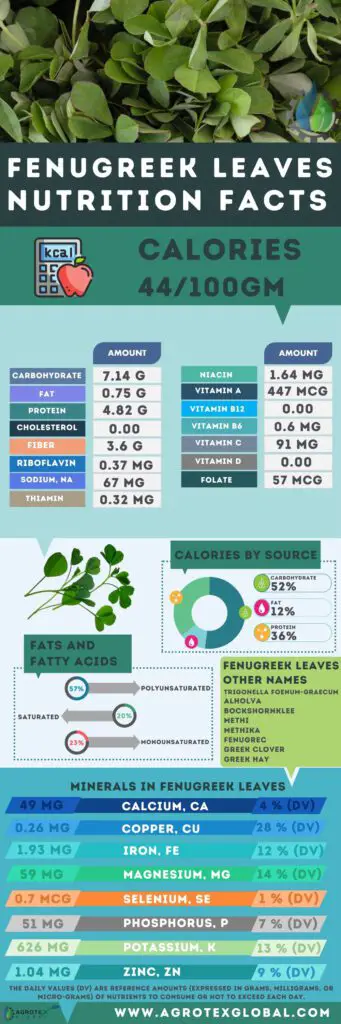 fenugreek leaves NUTRITION FACTS calorie chart infographic
