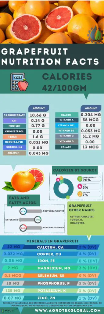 Grapefruit NUTRITION FACTS calorie chart infographic