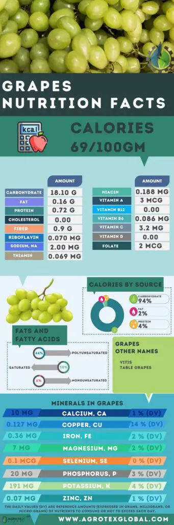 Grapes NUTRITION FACTS calorie chart infographic