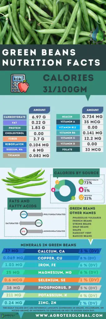 Green beans NUTRITION FACTS calorie chart infographic