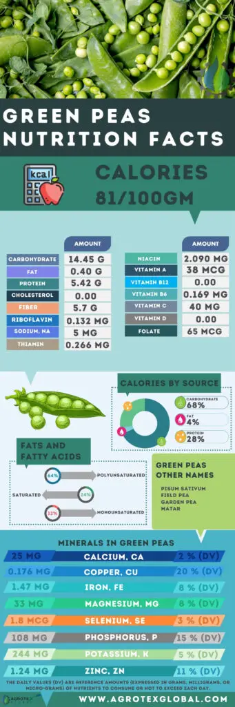 Green peas NUTRITION FACTS calorie chart infographic