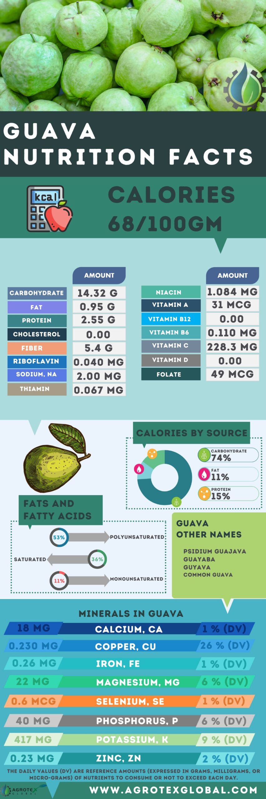 Guava NUTRITION FACTS calorie chart infographic