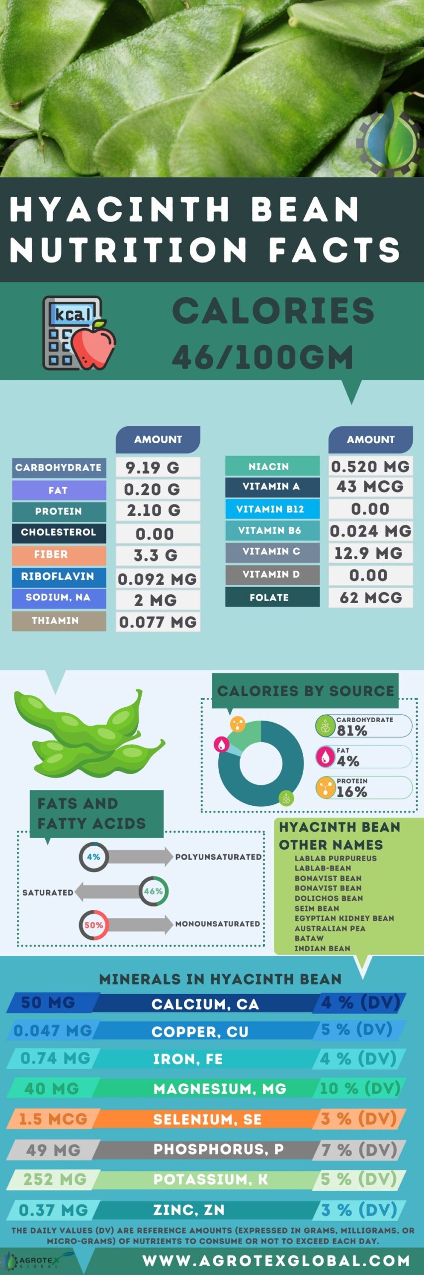 Hyacinth bean NUTRITION FACTS calorie chart infographics