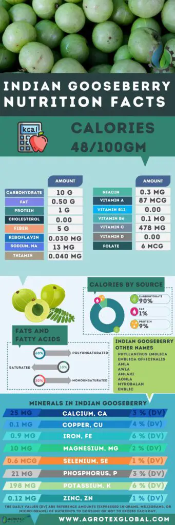Indian Gooseberry NUTRITION FACTS calorie chart infographic