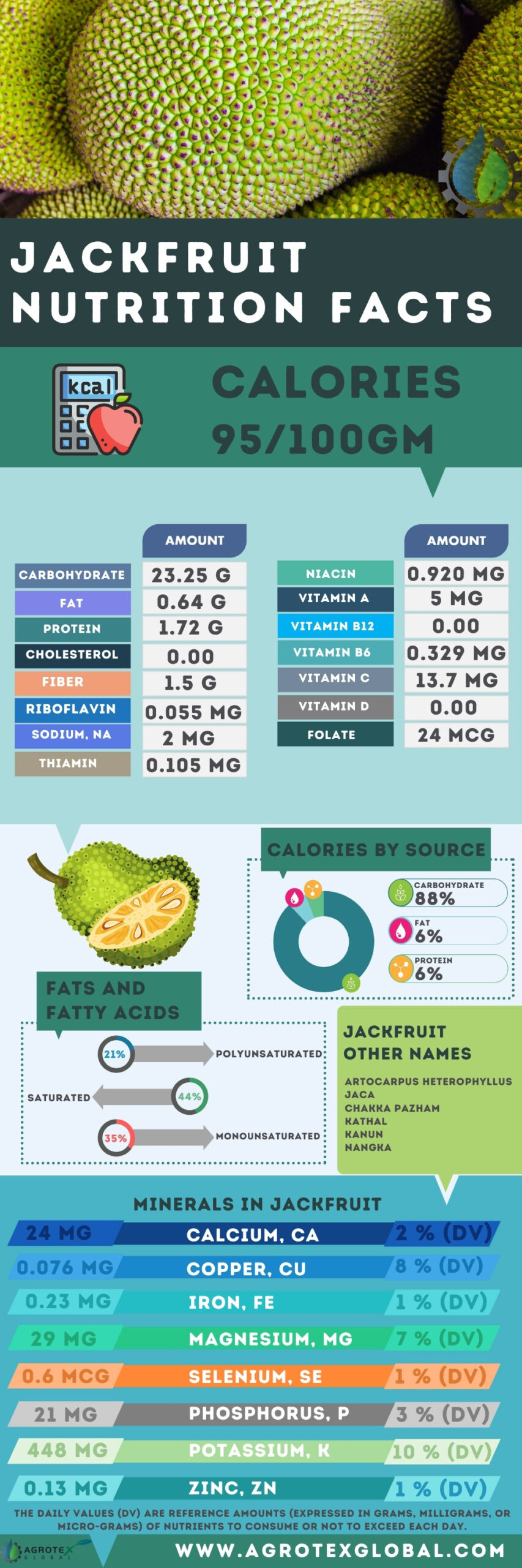 Jackfruit NUTRITION FACTS calorie chart infographics