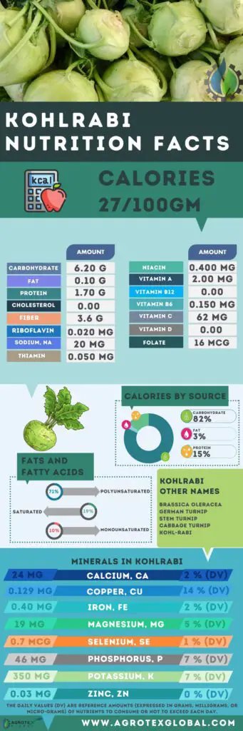 Kohlrabi NUTRITION FACTS scientific name calorie chart infographic