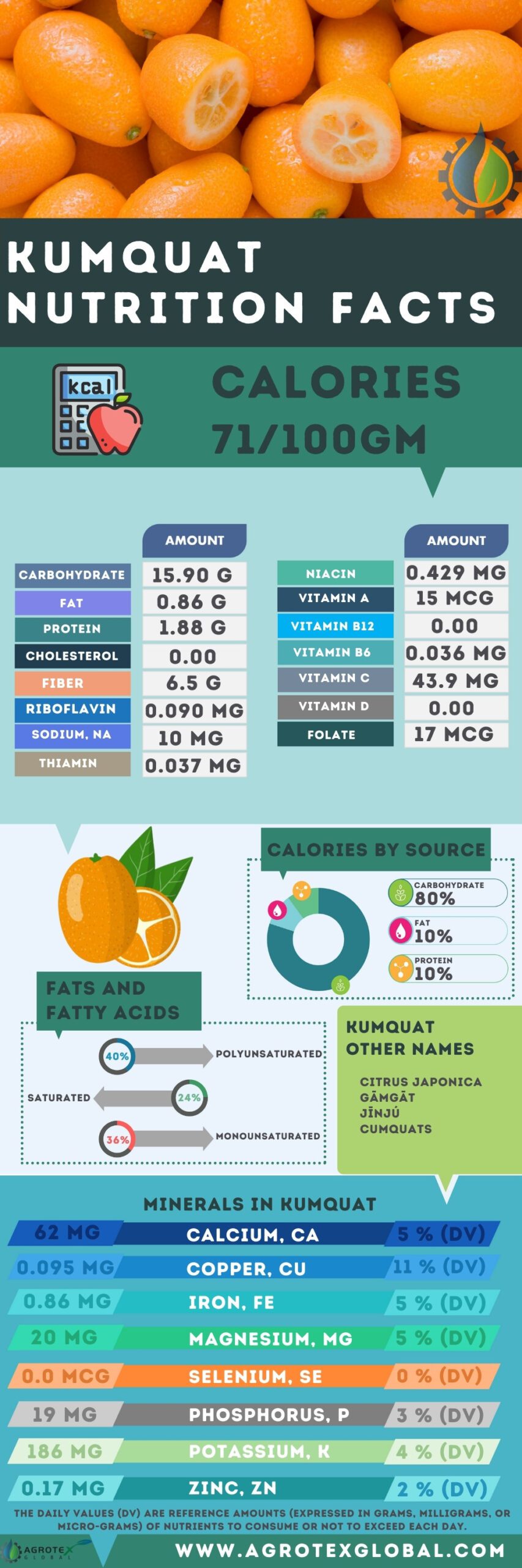 Kumquat NUTRITION FACTS calorie chart infographic