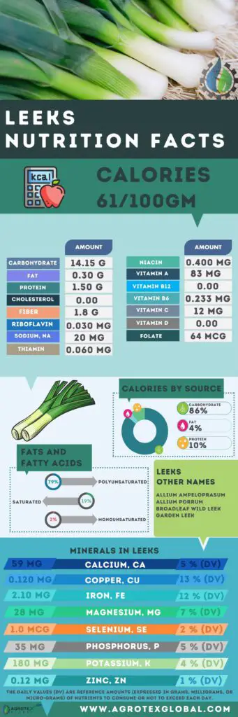 Leeks NUTRITION FACTS calorie chart infographic