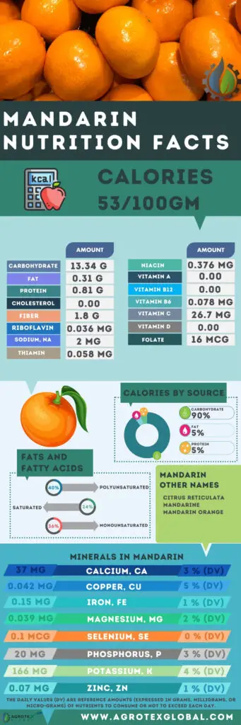 Mandarin NUTRITION FACTS calorie chart infographic