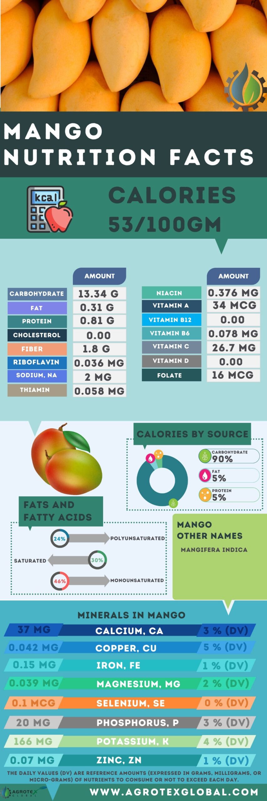 Mango NUTRITION FACTS calorie chart infographic