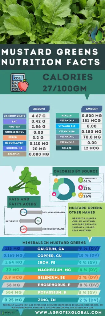 Mustard greens NUTRITION FACTS calorie chart infographic