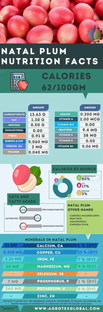 Natal plum NUTRITION FACTS calorie chart infographic