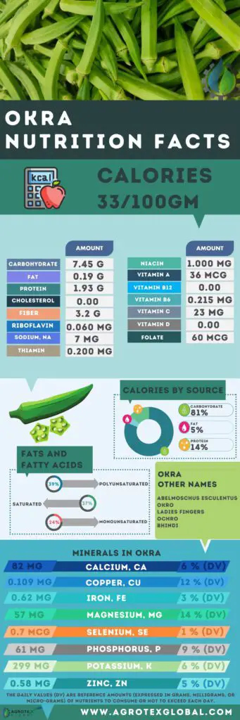 Okra NUTRITION FACTS calorie chart infographic
