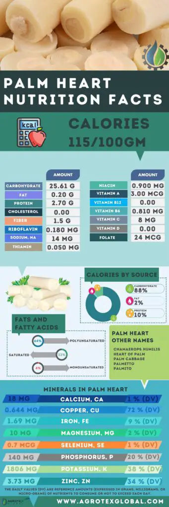 Palm Heart NUTRITION FACTS calorie chart infographic