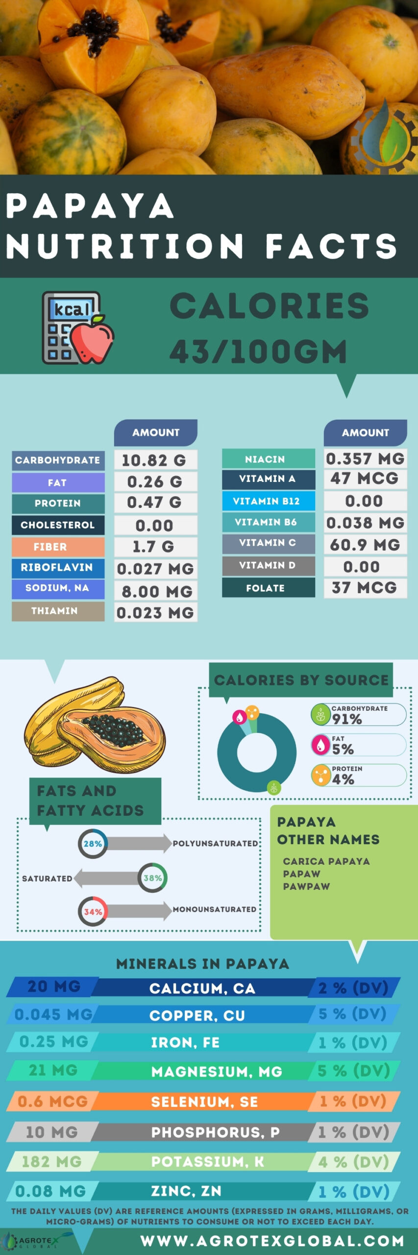Papaya NUTRITION FACTS calorie chart infographic