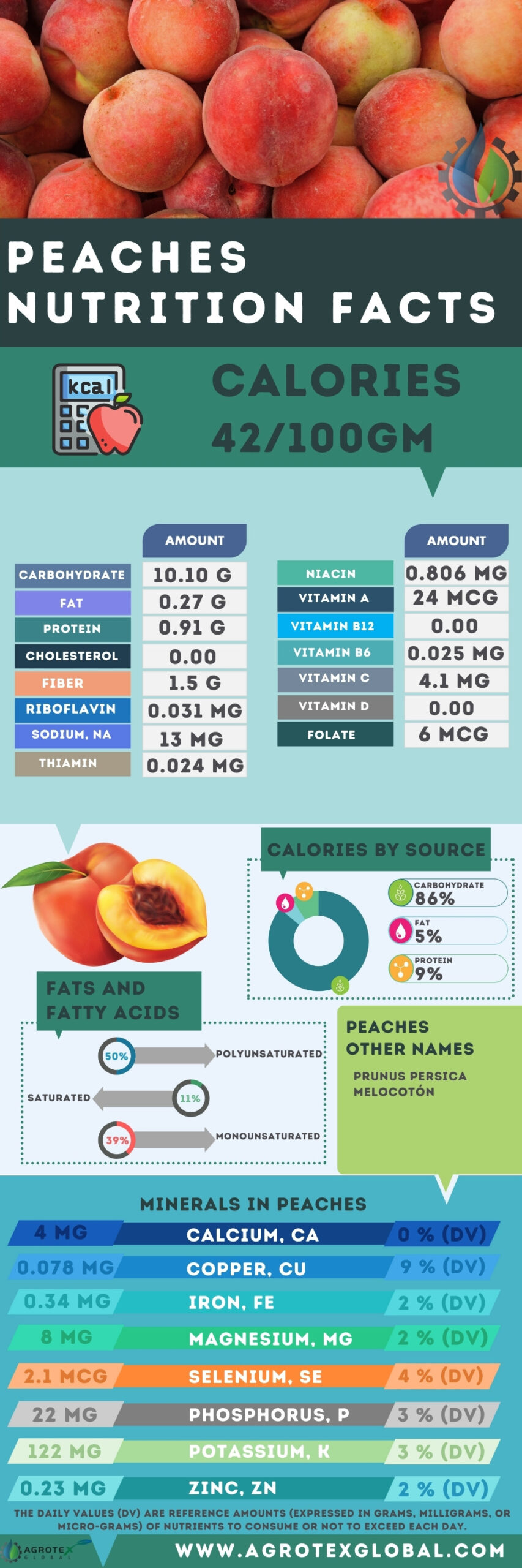 Peaches NUTRITION FACTS calorie chart infographic