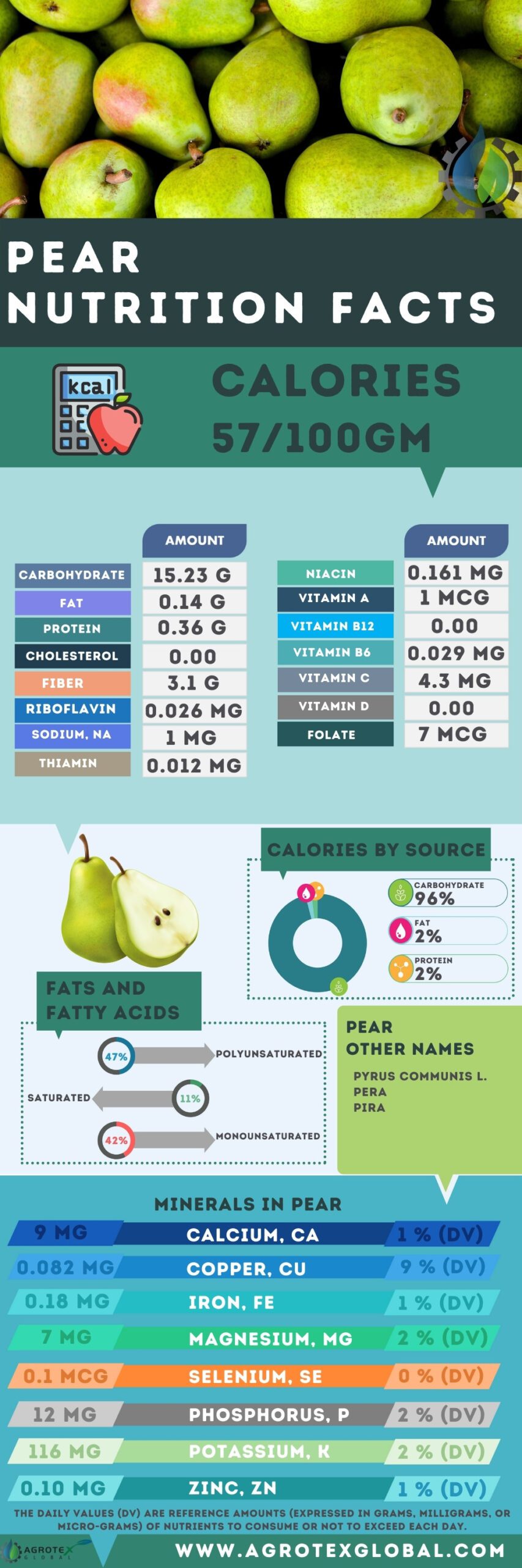 Pear NUTRITION FACTS calorie chart infographic