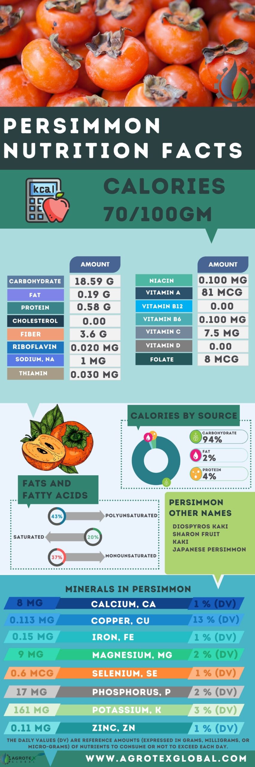 Persimmon NUTRITION FACTS calorie chart infographic