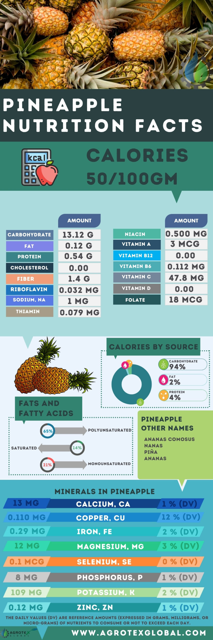 Pineapple NUTRITION FACTS calorie chart infographic