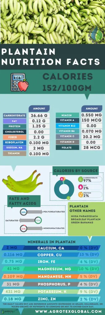 Plantain NUTRITION FACTS calorie chart infographic
