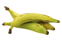 Plantain nutrition facts calorie content storage and freshness fruit list fruits starting with P