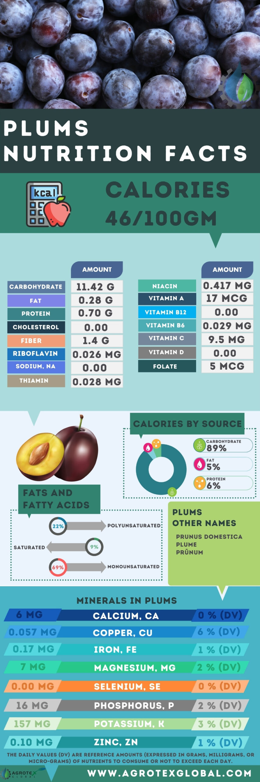Plums NUTRITION FACTS calorie chart infographic