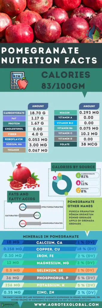 Pomegranate NUTRITION FACTS calorie chart infographic