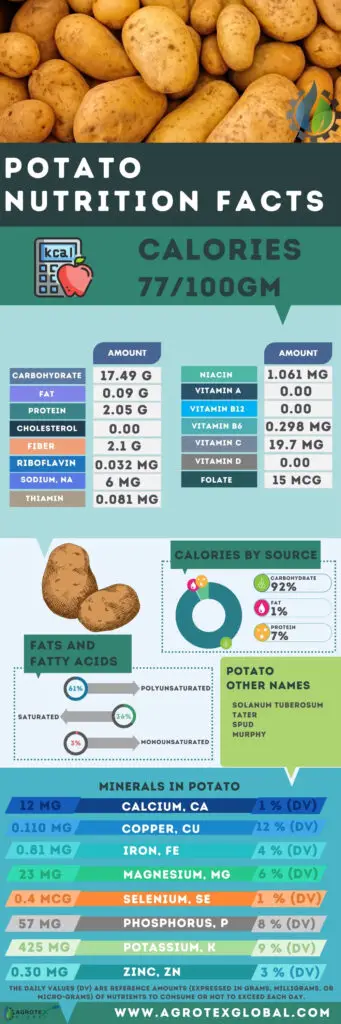 Potato NUTRITION FACTS calorie chart infographic