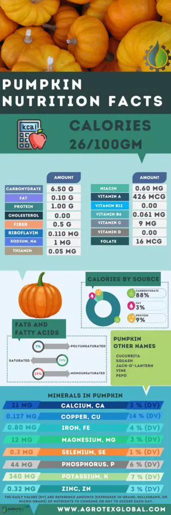 Pumpkin NUTRITION FACTS calorie chart infographic