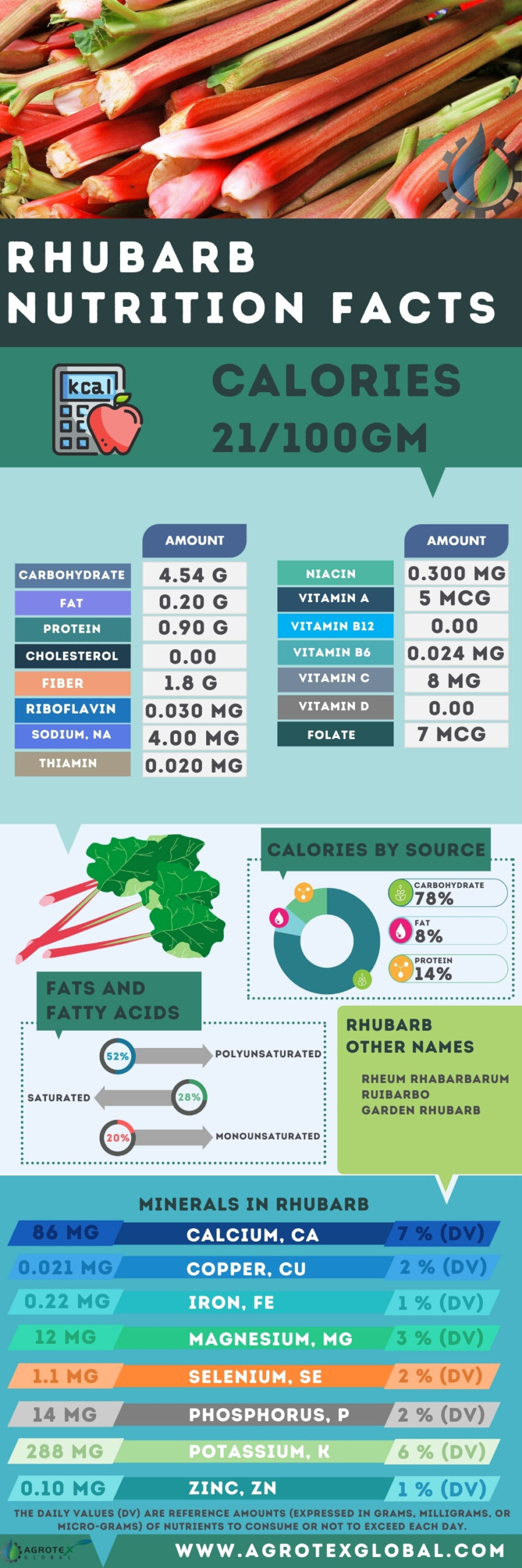 Rhubarb NUTRITION FACTS calorie chart infographic