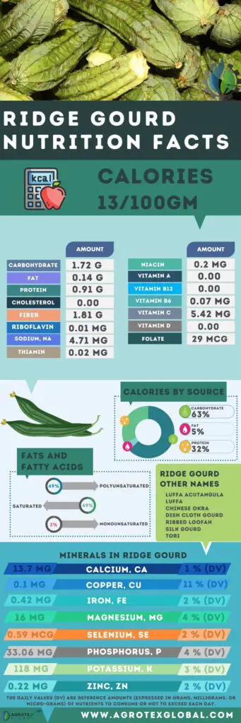 Ridge Gourd NUTRITION FACTS calorie chart infographic