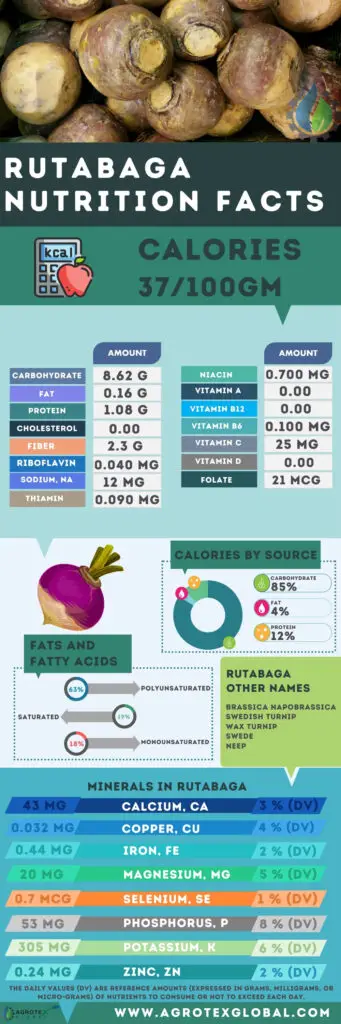 Rutabaga NUTRITION FACTS calorie chart infographic