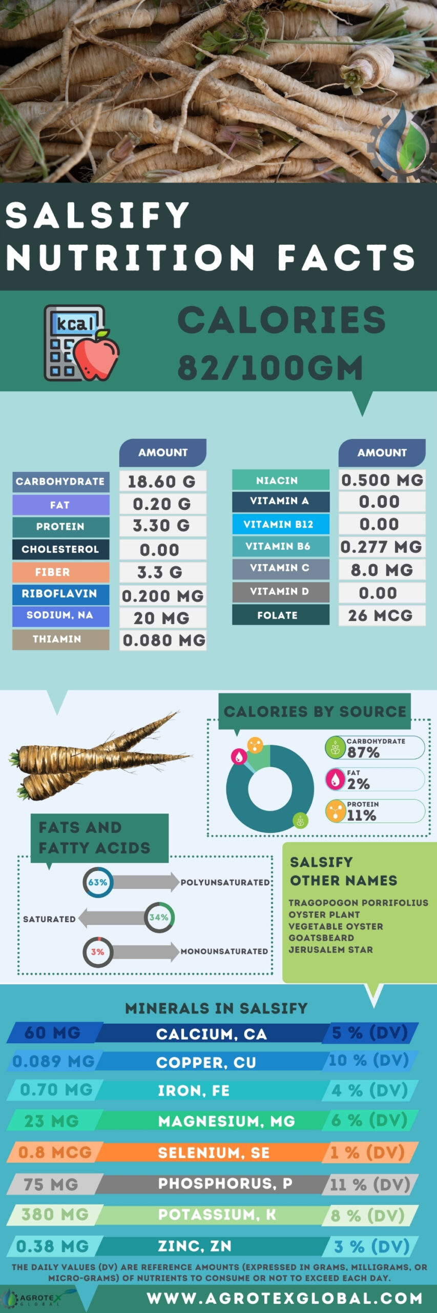 Salsify NUTRITION FACTS calorie chart name infographic
