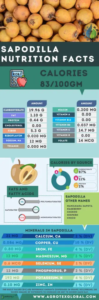 Sapodilla NUTRITION FACTS calorie chart infographic