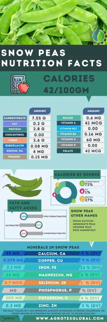 Snow Peas NUTRITION FACTS calorie chart infographic