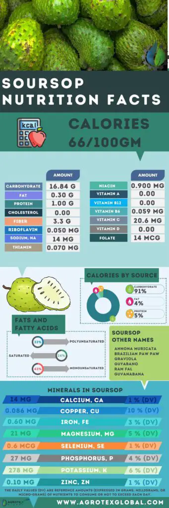 Soursop NUTRITION FACTS infographic chart