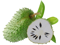 Soursop nutrition facts calorie content storage and freshness fruit list fruits starting with S