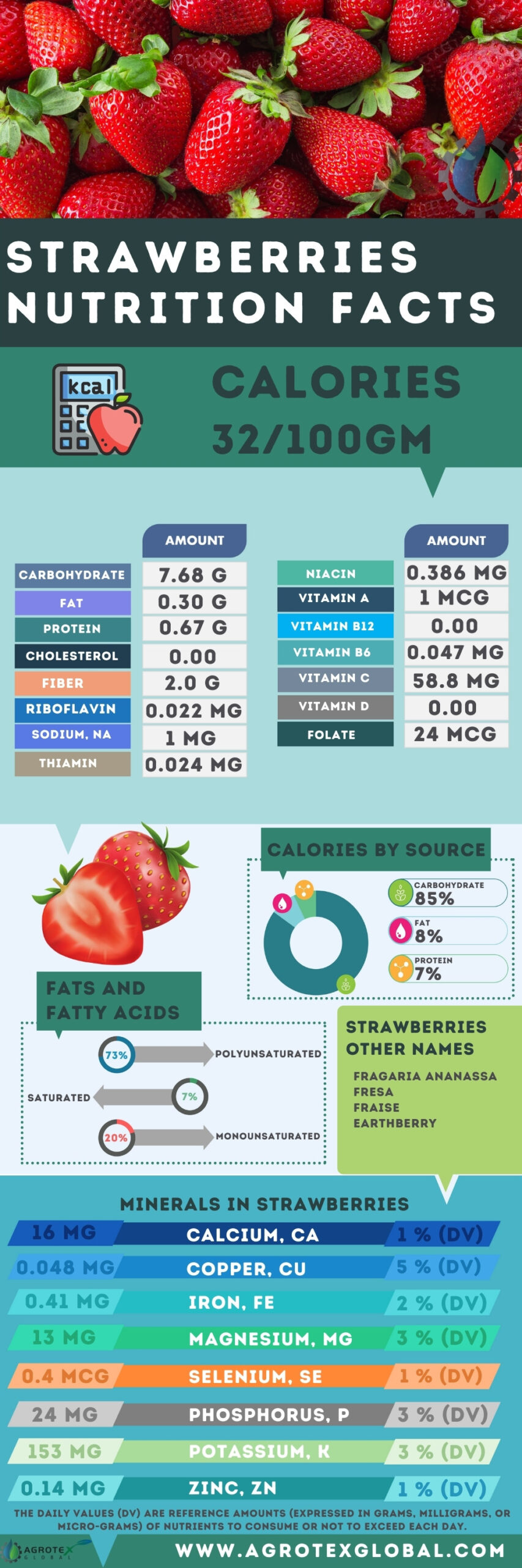 Strawberries NUTRITION FACTS calorie chart infographic
