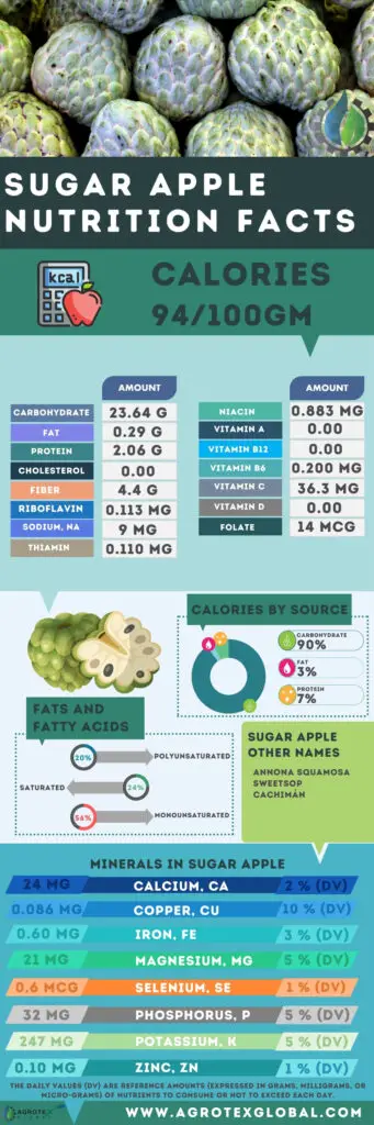 Sugar Apple NUTRITION FACTS calorie chart infographic