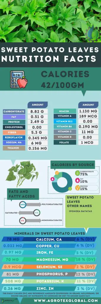 Sweet potato leaves NUTRITION FACTS calorie chart infographic