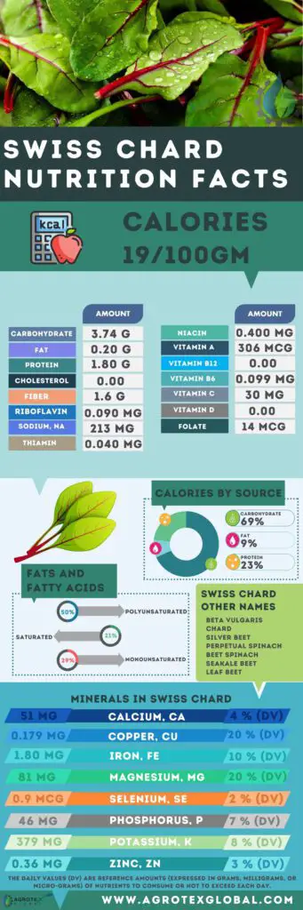 Swiss Chard NUTRITION FACTS calorie chart infographic