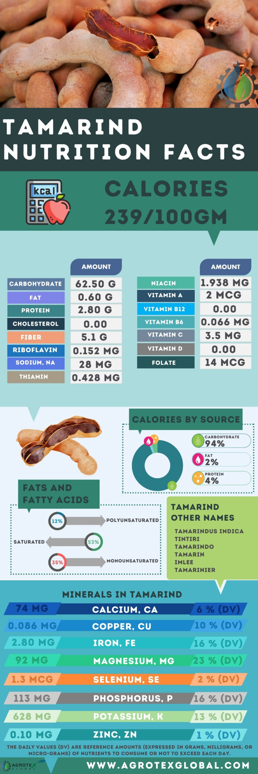 Tamarind Sugar Apple NUTRITION FACTS calorie chart infographic