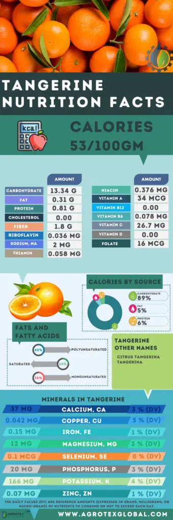 Tangerine NUTRITION FACTS calorie chart infographic