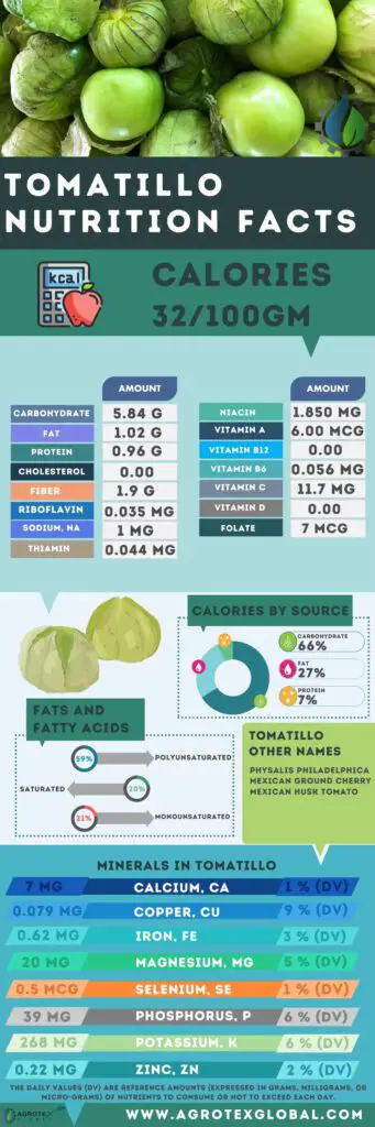 Tomatillo NUTRITION FACTS calorie chart infographic
