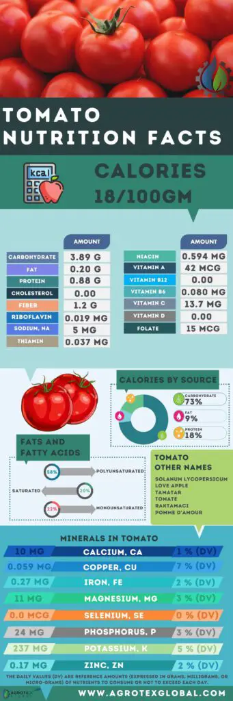 Tomato NUTRITION FACTS calorie chart infographic