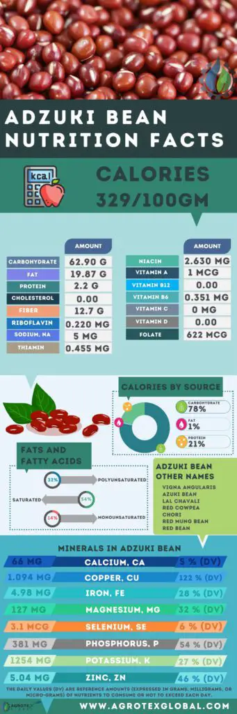 adzuki bean NUTRITION FACTS calorie chart infographic