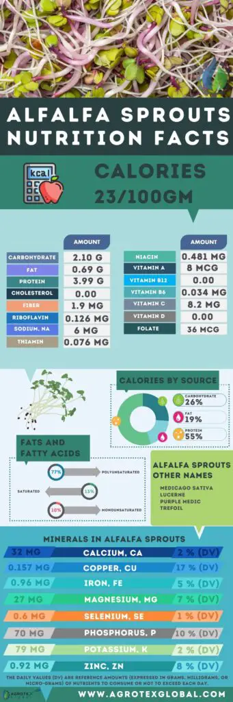 alfalfa sprouts nutrition facts calorie content chart infographic