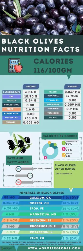 black Olives NUTRITION FACTS calorie chart infographic