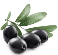 black olives nutrition calorie content